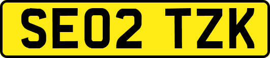 SE02TZK