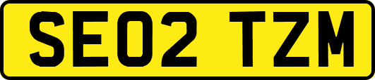SE02TZM