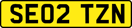 SE02TZN