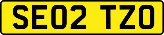 SE02TZO