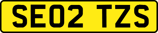 SE02TZS