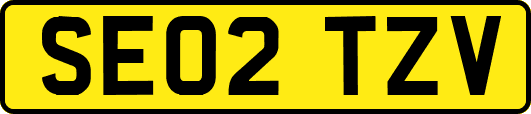 SE02TZV