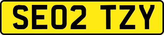 SE02TZY