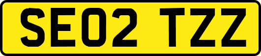 SE02TZZ
