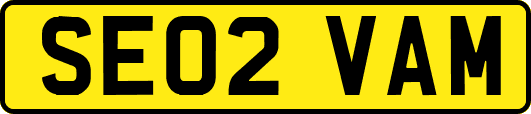 SE02VAM
