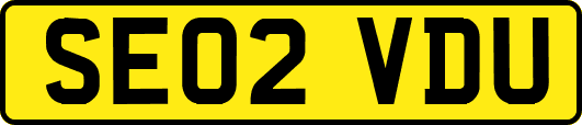 SE02VDU