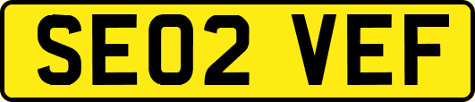 SE02VEF