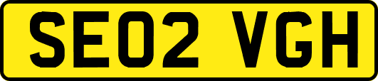 SE02VGH