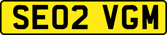 SE02VGM