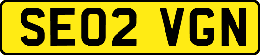 SE02VGN