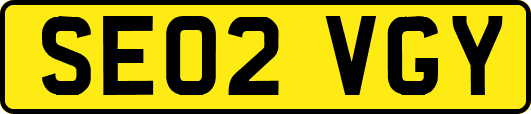SE02VGY