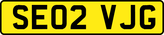 SE02VJG