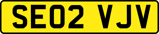 SE02VJV