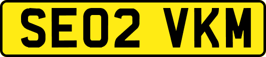 SE02VKM