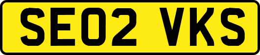 SE02VKS