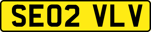 SE02VLV
