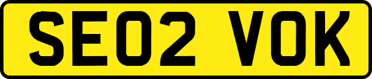 SE02VOK
