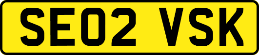 SE02VSK