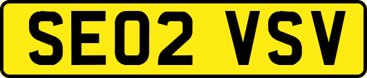 SE02VSV
