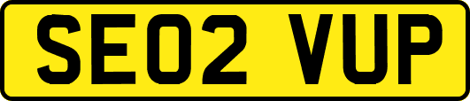 SE02VUP