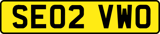 SE02VWO