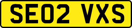 SE02VXS