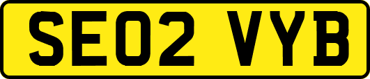 SE02VYB