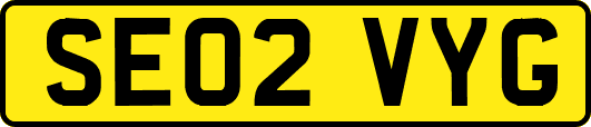 SE02VYG
