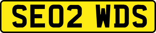 SE02WDS