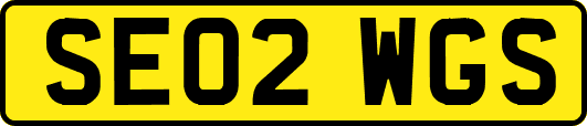 SE02WGS