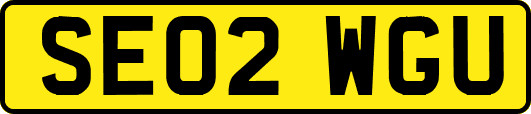 SE02WGU