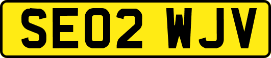 SE02WJV