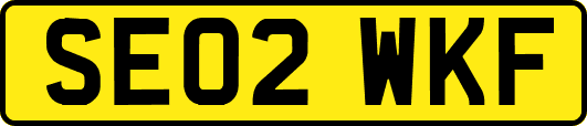 SE02WKF