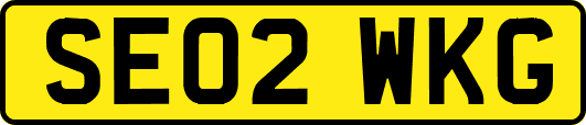 SE02WKG