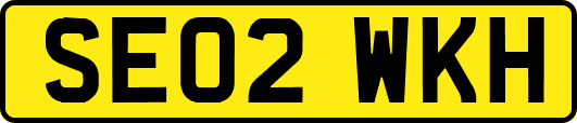 SE02WKH