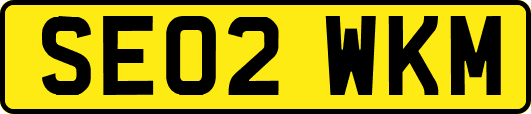 SE02WKM