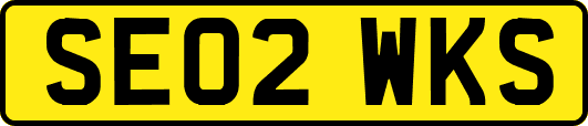 SE02WKS
