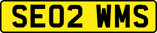 SE02WMS