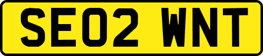 SE02WNT
