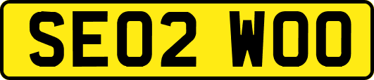 SE02WOO