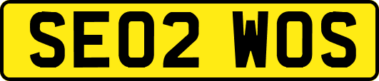 SE02WOS