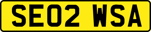 SE02WSA