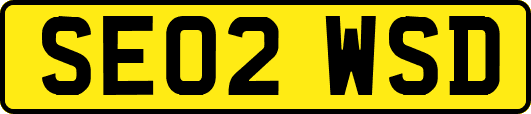SE02WSD