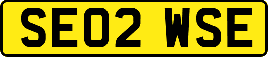 SE02WSE