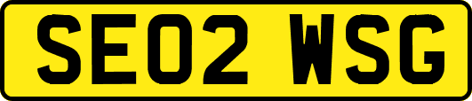 SE02WSG