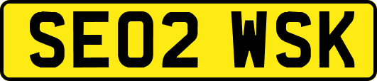 SE02WSK