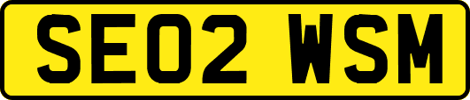 SE02WSM