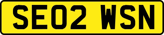 SE02WSN