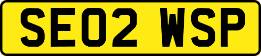 SE02WSP