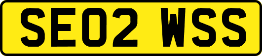 SE02WSS